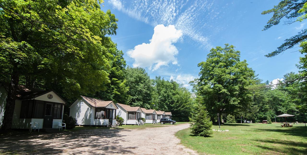 Profile Motel & Cottages Lincoln Exteriér fotografie